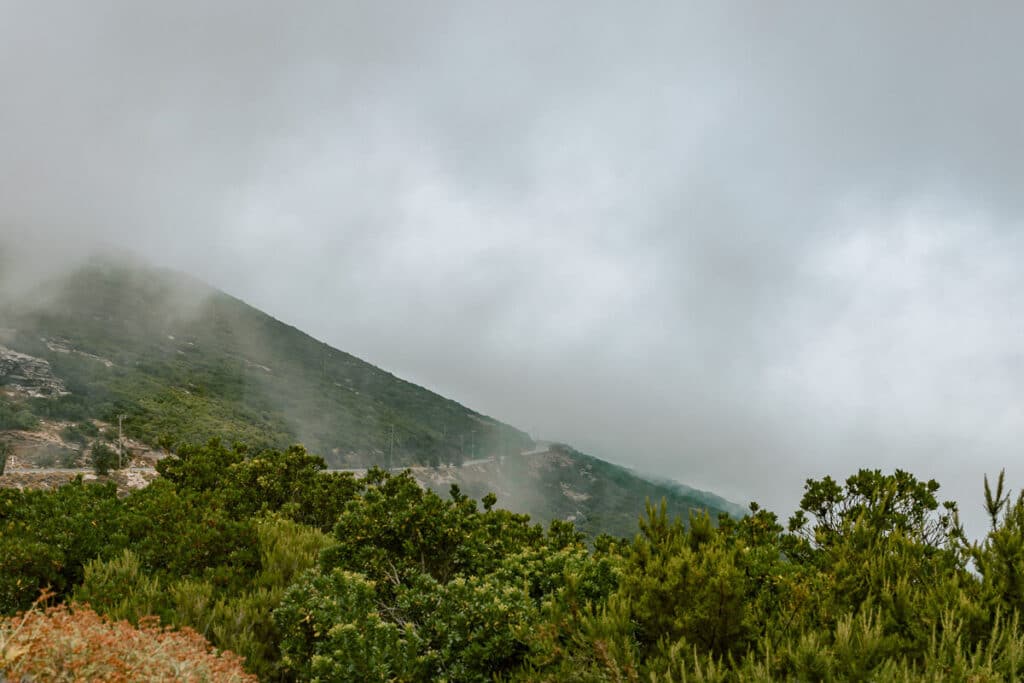 Panoramic view from a high cliff covered with fog.