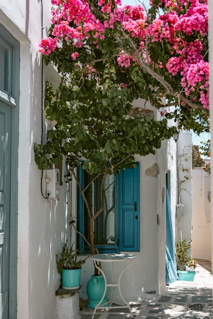 Bougainvillea in full bloom over a blue-shuttered doorway and turquoise pots along a narrow lane in Serifos Chora.