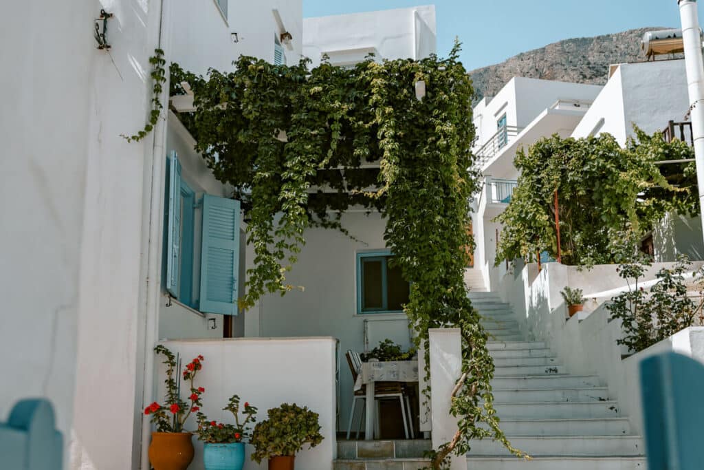 Whitewashed Cycladic house in Sifnos with soft blue shutters, climbing greenery draping over a small patio, and stairs leading up through a quiet residential alley, showcasing the everyday charm of Sifnos village life.