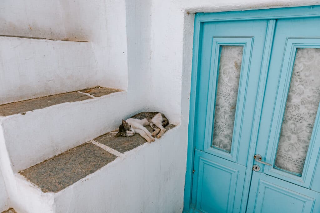 A small cat naps on a stone step in front of a bright blue door along a whitewashed building in Sifnos.
