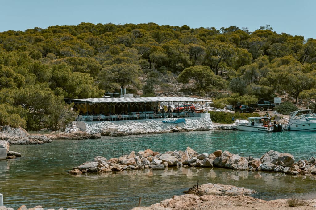 Aponisos taverna tucked beside the sea and forest in Agistri, hidden gem worth visiting for food and views.