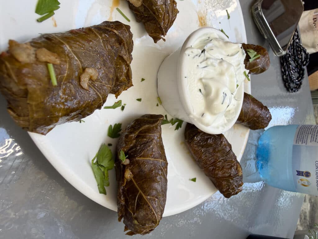 Plate of dolmades served with a small bowl of creamy yogurt sauce at a restaurant in Rhodes.