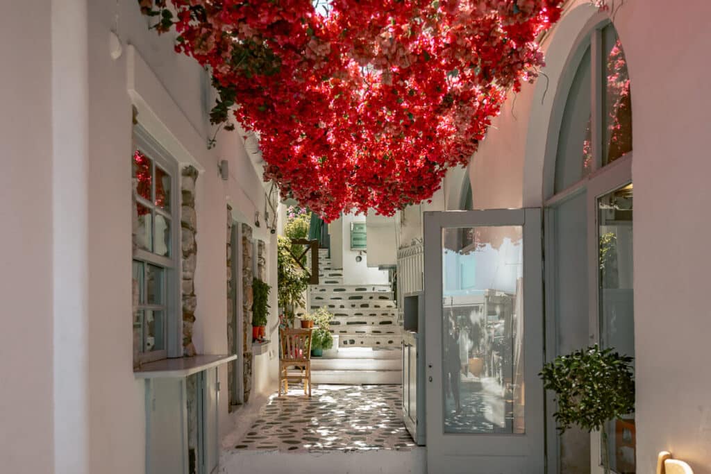 Narrow passage in Naxos Old Town leading to Taverna Naxos with whitewashed walls, pale blue doors, stone steps, and a ceiling covered in bright red flowers.