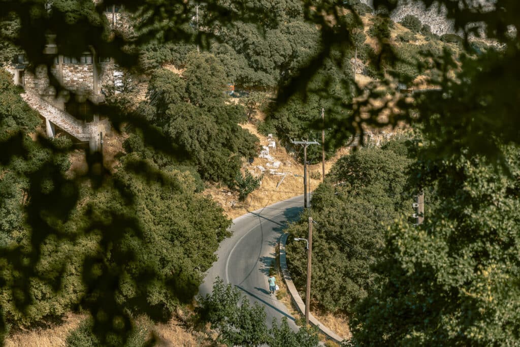 Narrow winding mountain road in Naxos surrounded by dense green trees and rocky hills, viewed through shaded branches.