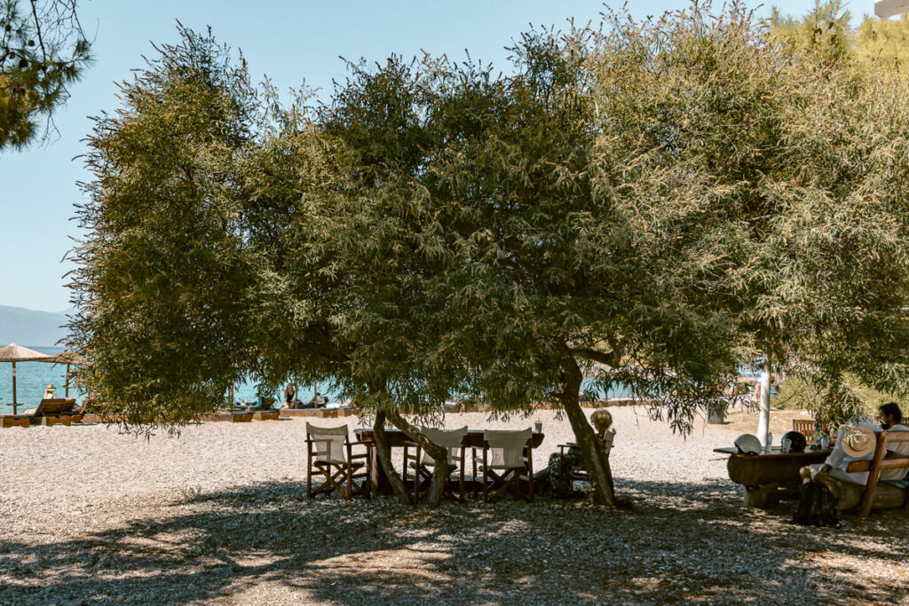 Shaded tables and chairs beneath leafy trees on a pebble beach in Spetses, with the blue sea visible in the background.