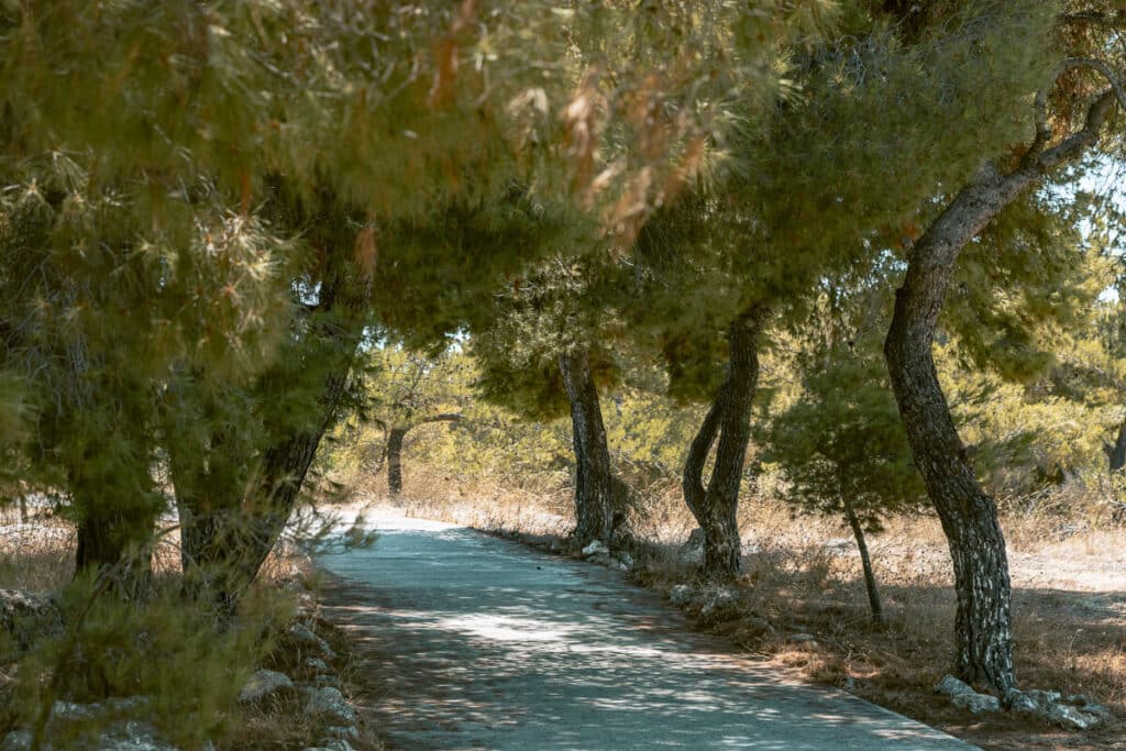 haded paved path winding through a dense pine forest near the Spetses Lighthouse.