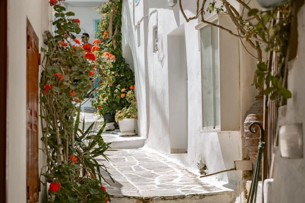 Narrow stone-paved alley in Naxos Town, Greece, lined with whitewashed buildings, potted plants, and bright red flowers.